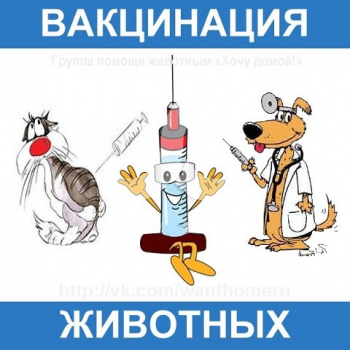 Вакцинация животных от бешенства